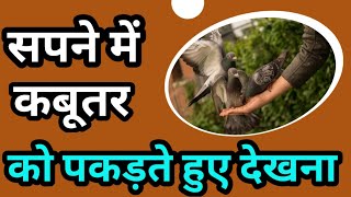 सपने में कबूतर पकड़ते हुए देखना।sapne me khud ko kabutar pakadte hue dekhna।catching pigeon in dream [upl. by Nihsfa996]