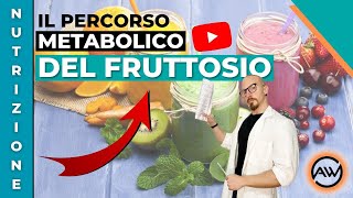 NUTRIZIONE il percorso METABOLICO del FRUTTOSIO [upl. by Munroe441]