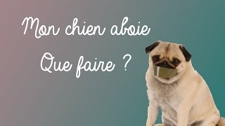 Mon chien aboie  Que faire [upl. by Winikka609]