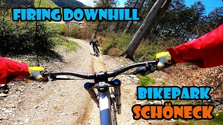 Bikepark Schöneck  Firing Downhill [upl. by Namie959]