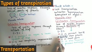 Transpiration And Its Types  Stomatal Lenticular And Cuticular Transpiration  Class 11 [upl. by Matejka]