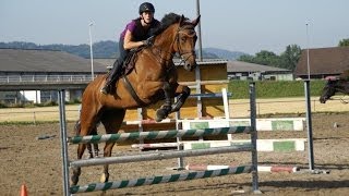 Sport equestri Equitazione Volteggio [upl. by Suiraj]