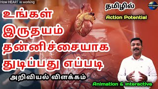 How heart is working in Tamil  science behind heart cells [upl. by Ibbor]