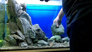 200 liters New Malawi Tank setup  Demasoni amp Interruptus [upl. by Anelhtac634]