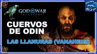 Cuervo de Odín  Las Llanuras Vanaheim  GoW Ragnarök  Guía de coleccionables [upl. by Sigismondo963]