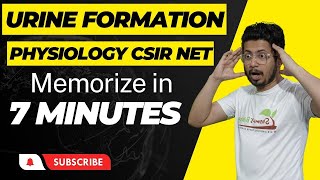 Process of urine formation physiology  tricks to learn urine formation mechanism [upl. by Gemmell]