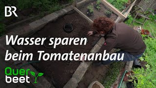 Wasser sparen beim Tomatenanbau [upl. by Ahtael434]