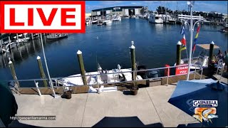 Gasparilla Marina  Live Stream  Englewood  Placida Florida  Gulf Coast  Fuel Dock Cameras [upl. by Ayoral]