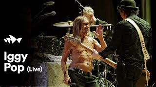 Iggy Pop  quotI Wanna Be Your Dogquot  Live at Sydney Opera House [upl. by Abigale128]