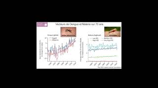 Les maladies vectorielles les vecteurs de Dengue et Malaria [upl. by Hezekiah682]