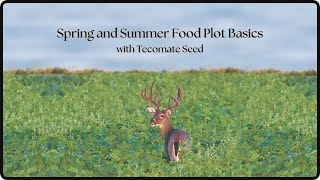 Spring and Summer Food Plot Basics with Tecomate Seed [upl. by Seldon]