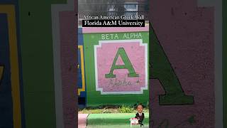 Importance of Greek Fraternities and Sororities  Legacy amp Lifelong Connections  Divine Nine amp NPHC [upl. by Octavian762]