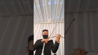 Titanic On Violin  Live Perform at Wedding reception [upl. by Bartel332]