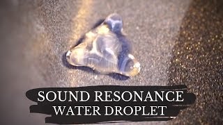 Cymatics experiment  Merkaba Sound Resonance of Water Droplet  Sacred Geometry [upl. by Airotna]