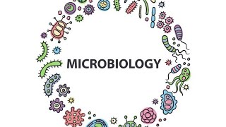 EnterobacterSerratiaKlebsiellaMicrobiology PathologyMBBS [upl. by Aninad]