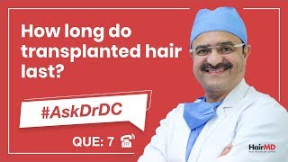 How long do transplanted hair lastट्रांसप्लांट बाल कितने दिन तक रहते है AskDrDc Ep7  In HINDI [upl. by Ardnoik412]