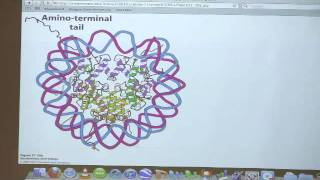 Kevin Aherns BiteSized Biochemistry 50  Gene Expression II [upl. by Suirradal723]