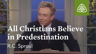 All Christians Believe in Predestination The Classic Collection with RC Sproul [upl. by Bowden42]