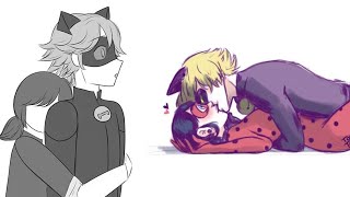 quotMarichat AUquot  Miraculous Ladybug Comic Dub [upl. by Ause]