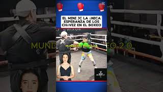 El Mini JC la única esperanza de los Chévez en el boxeo boxeo boxing box [upl. by Addiel429]