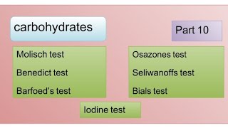 Molisch  Benedict  Barfoeds  seliwanoffs  Bials  Osazone amp Iodine test [upl. by Katushka]