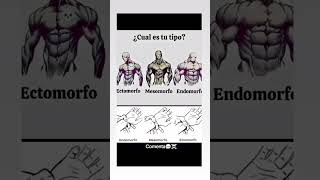 biotipo ectomorfo mesomorfo endomorfo gymmotivation gym calisthenics calistenia sigma [upl. by Bibby]