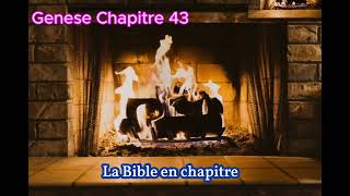 Genese Chapitre 43 [upl. by Kinnon]