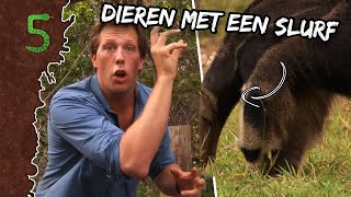 Freeks 5  DIEREN MET EEN SLURF [upl. by Eikcin]