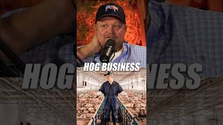 How the Hog Business is One of The Best Food Production Systems [upl. by Laehcimaj280]