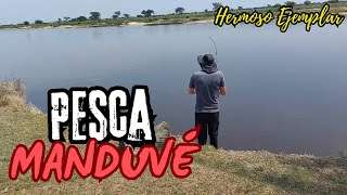 PESCA DE PICO DE PATO  MANDUVÉ EN ESQUINA CORRIENTES  Tremendas Capturas [upl. by Kalmick]