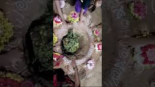 Yisukalo putte gouramma song bathukamma bathukammasongs2024 bathukamma special [upl. by Pazit822]