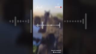 Audio recording from one of the residents of Al Hilaliya village تسجيل صوتي من أحد اهالي قرية الهلال [upl. by Wennerholn]