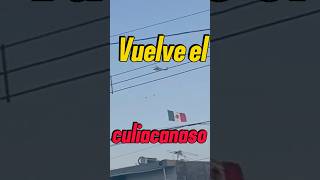 El culiacanazo lospshorts narcos culiacan ejercitomexicano narcosmexico [upl. by Cindra]