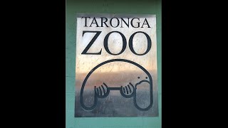 Taronga Zoo 2024 [upl. by Niel922]