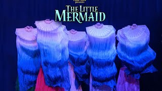 The Little Mermaid Preview  Bellydance Show  Bahira Group as Ariels sisters  Fan Veils [upl. by Eileme728]