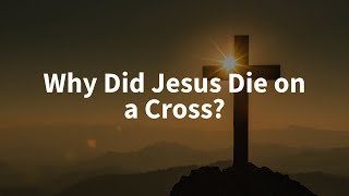 Why Did Jesus Die on a Cross [upl. by Oicam]