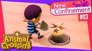 Animal Crossing  New CONFINEMENT 03  Première Amende [upl. by Stouffer]