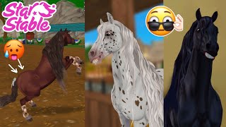 New Friesian Review  Starstable [upl. by Burck]