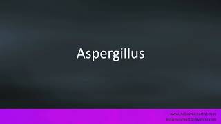 Pronunciation of the words quotAspergillusquot [upl. by Vina]