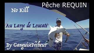 Pêche du Requin Peau Bleu Leucate [upl. by Allecram]