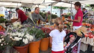 Winterswijk Beste Markt van Nederland [upl. by Thalia449]