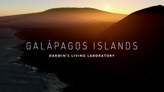 Explore the Galapagos Islands with Google Maps [upl. by Eitsyrhc]