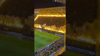 Pyro Show Highlights Dynamo Dresden vs Darmstadt 98 DFBPokal [upl. by Nomma]