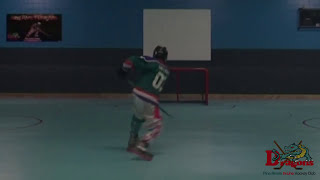 Slap Shot  Learn Inline Hockey 1min 46secs [upl. by Ermentrude]