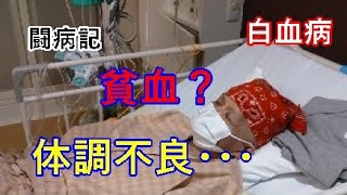 【白血病】貧血ですか？それとも？【闘病記】入院２０日目～２２日目 [upl. by Anchie]