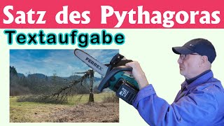 Satz des Pythagoras  Textaufgaben – Abgebrochener Baum [upl. by Analah711]