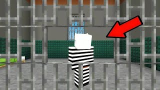 Escape The Prison in Minecraft [upl. by Nomed]