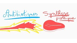 🔴 ANTIBIOTIQUES CONTRE LA SYNTHESE PROTEIQUE EN 10 MIN   DR ASTUCE [upl. by Toole]