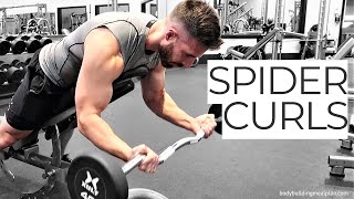 EZ Bar Spider Curls For Building Biceps Peak [upl. by Gibbon5]