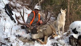 Out There Steen Mountain Mule Deer Research [upl. by Penny]